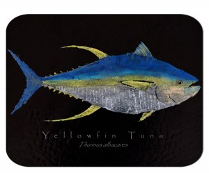 Yellowfin Tuna on black board